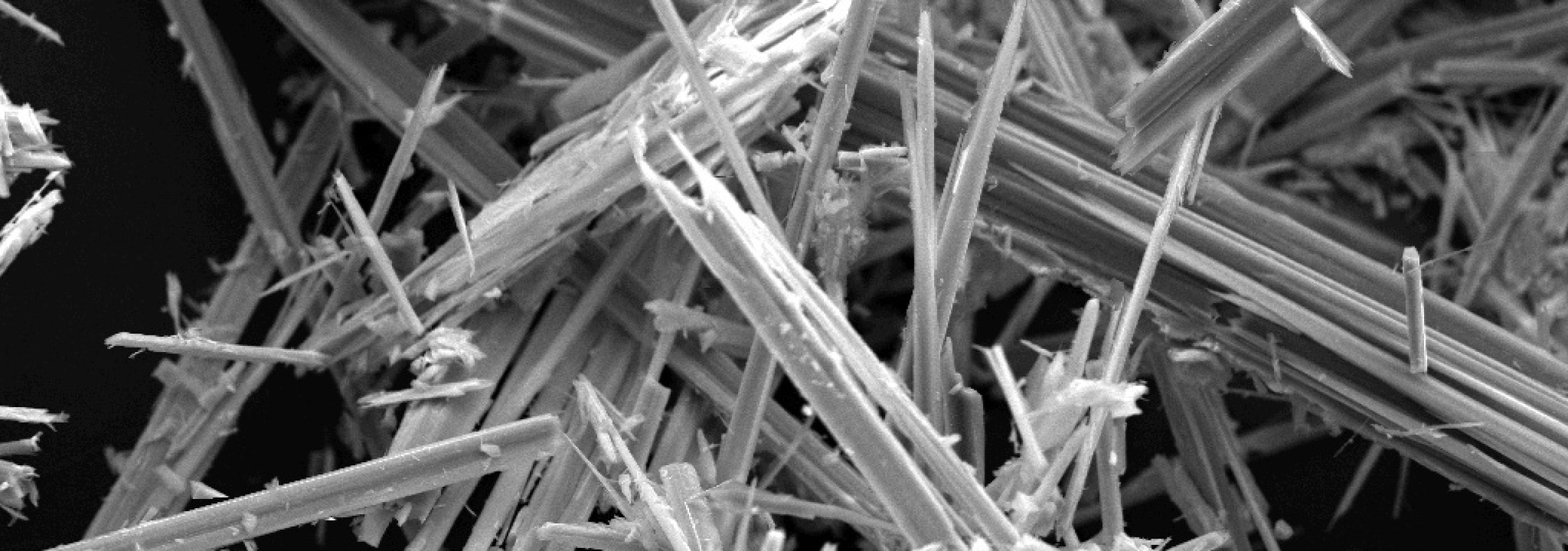 Bereich Asbest – das Wichtigste in Kürze