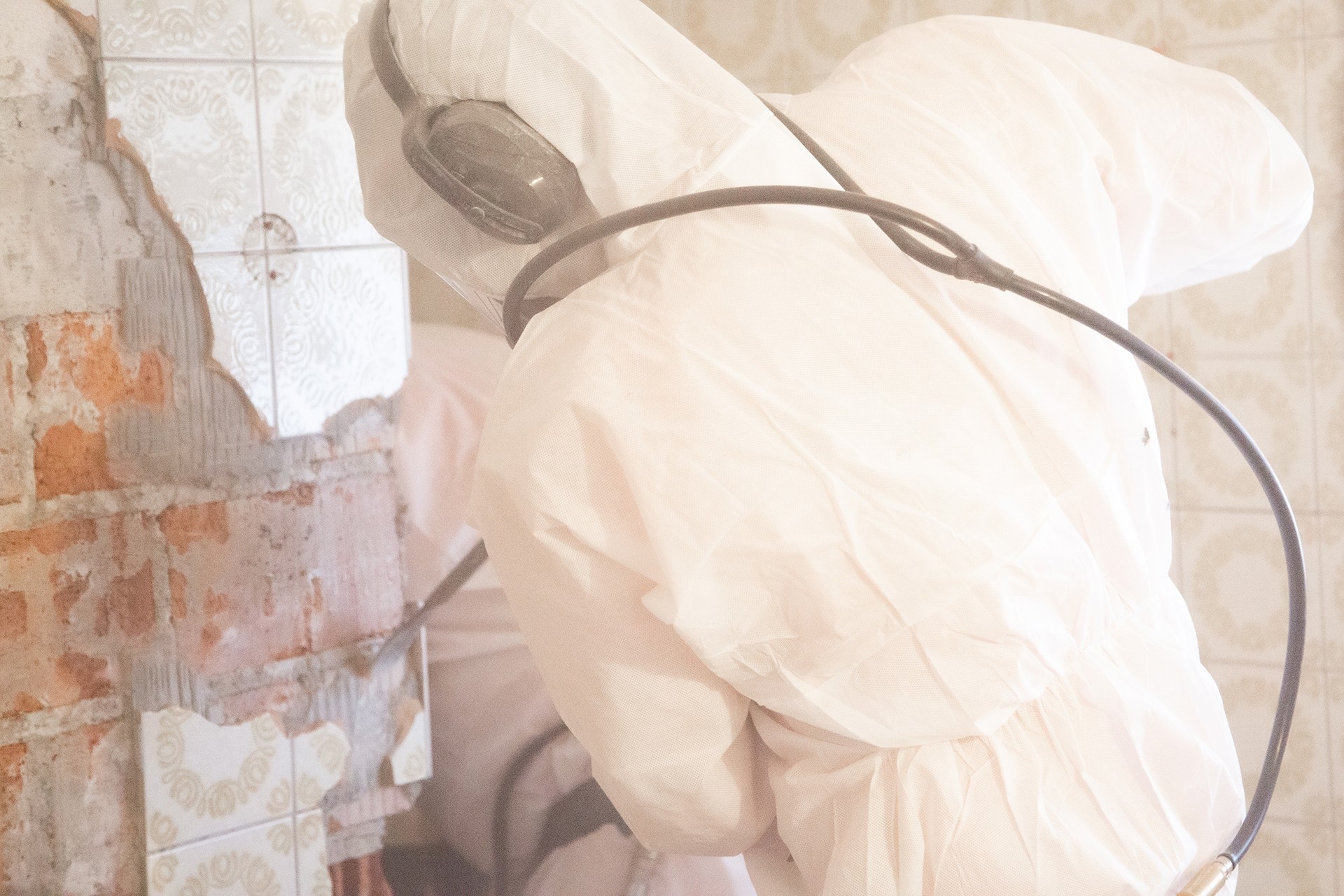 Bild von Profiarbeit